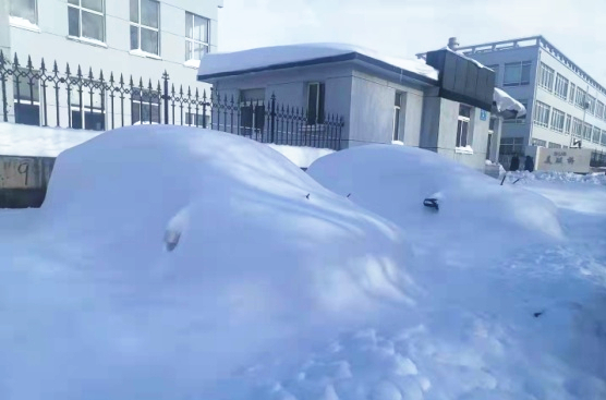 211109 - 暴雪后的尊龙凯时工厂门口_副本.jpg
